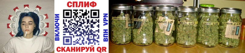 Конопля THC 21%  наркошоп  Зубцов 